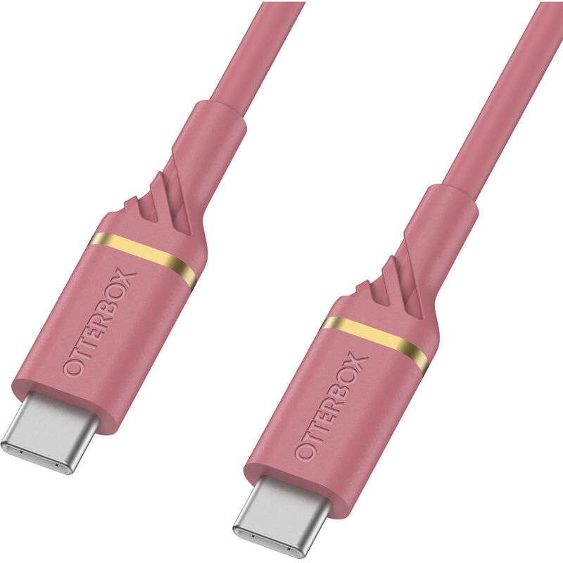 product image 1 - USB-C à USB-C (1m) Chargement Rapide Câble | Taille Moyenne