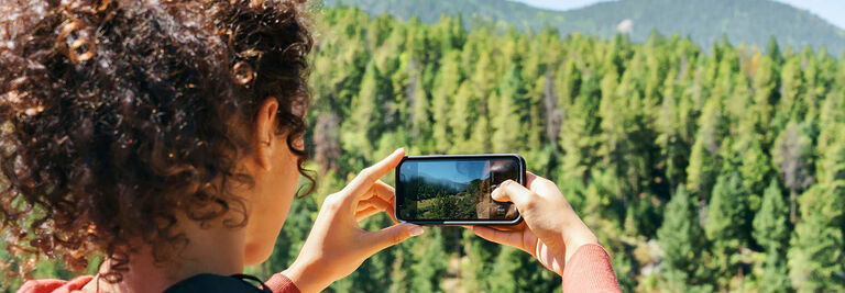 Woman taking a picture of trees